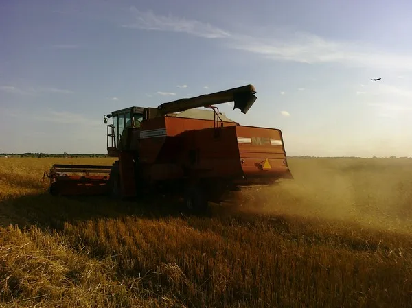Harvest 2009 13028135
